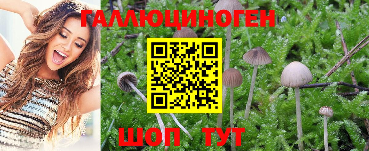 Галлюциногенные грибы Magic Shrooms  закладки  Копейск  Вход с VPN 
