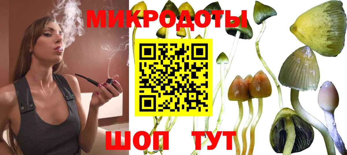 Псилоцибиновые грибы мухоморы Копейск